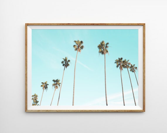 California Wall Art Palm Tree Print Palms Print Beach Wall Art Print Printable Wall Art Beach Decor Tropical Decor Affordable Wall Art