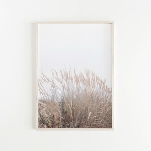Beach Grass Set of 3 Prints Coastal Decor Beach Wall Art Neutral Print Set Modern Coastal Farmhouse Large Wall Art Printable Poster Print image 5