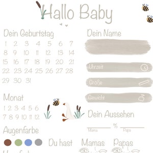 Ausfüllkarte Babyparty - Hallo Baby