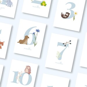 Cartes mignonnes pour les étapes de la naissance d'un bébé - Animaux - Téléchargement numérique