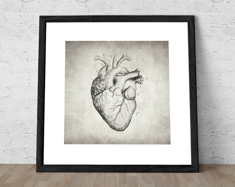 Heart Drawing Anatomical Heart Heart Poster Vintage Etsy Heart Drawing Anatomical Heart Heart Poster Vintage Etsy