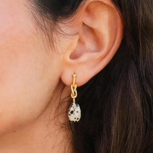 May include: Gold knot dangle earrings with a black and white dalmatian jasper stone.