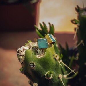 May include: A pair of gold earrings with square-shaped turquoise stones. The earrings are sitting on a green cactus.