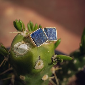 May include: A pair of gold square earrings with blue lapis lazuli stones set in the center. The earrings are sitting on a green cactus.