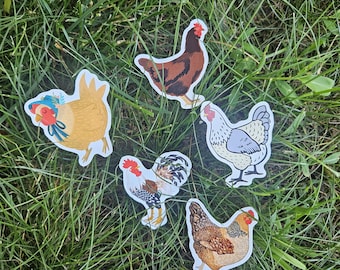 Sassy chicken Stickers Pack | 5 Cute Hen & Rooster Waterproof Stickers | Backyard Chicken Vinyl Decals for Water Bottles, Laptops