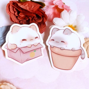 May include: Two adorable white cat stickers with cute expressions. One cat is sitting in a pink box with an orange sticker, and the other is sitting in a pink flower pot.