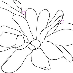 May include: A black and white line drawing of a flower with multiple petals. The flower is in bloom and has a delicate, intricate design.
