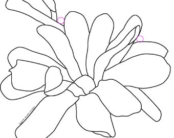 Magnolia Suncather Pattern