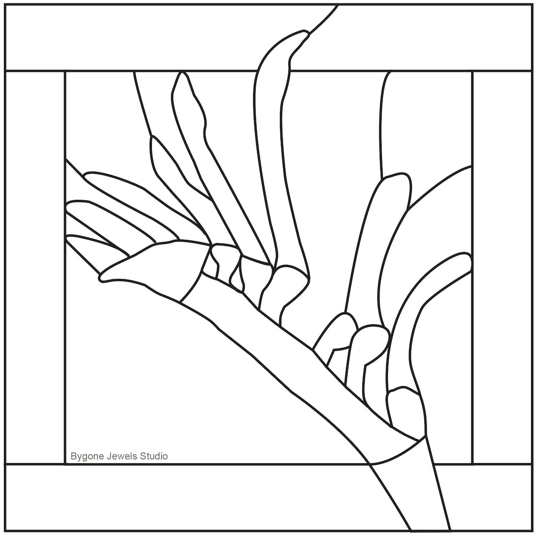 Kangaroo Paw Leadlight Pattern - Etsy