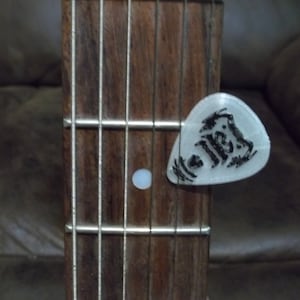 Paquete de 10 púas de guitarra Wailing Gorilla