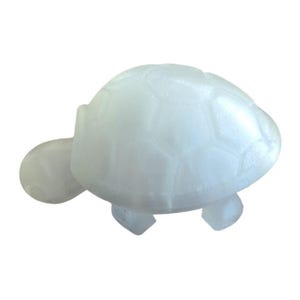 Turtle Fidget Toy Colorful 3D Printed - Stress Relief Gift