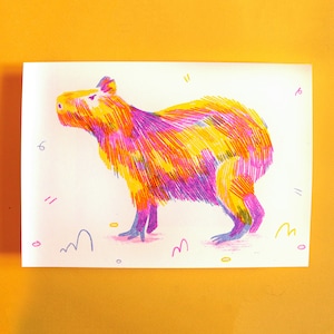 Capybara Risograph Print | A5 3-colour print | Blue, Pink and Yellow