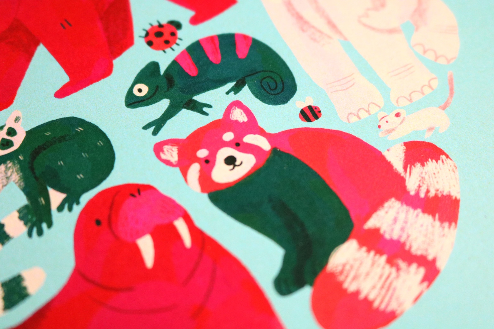 Animal Circle Art Print Etsy