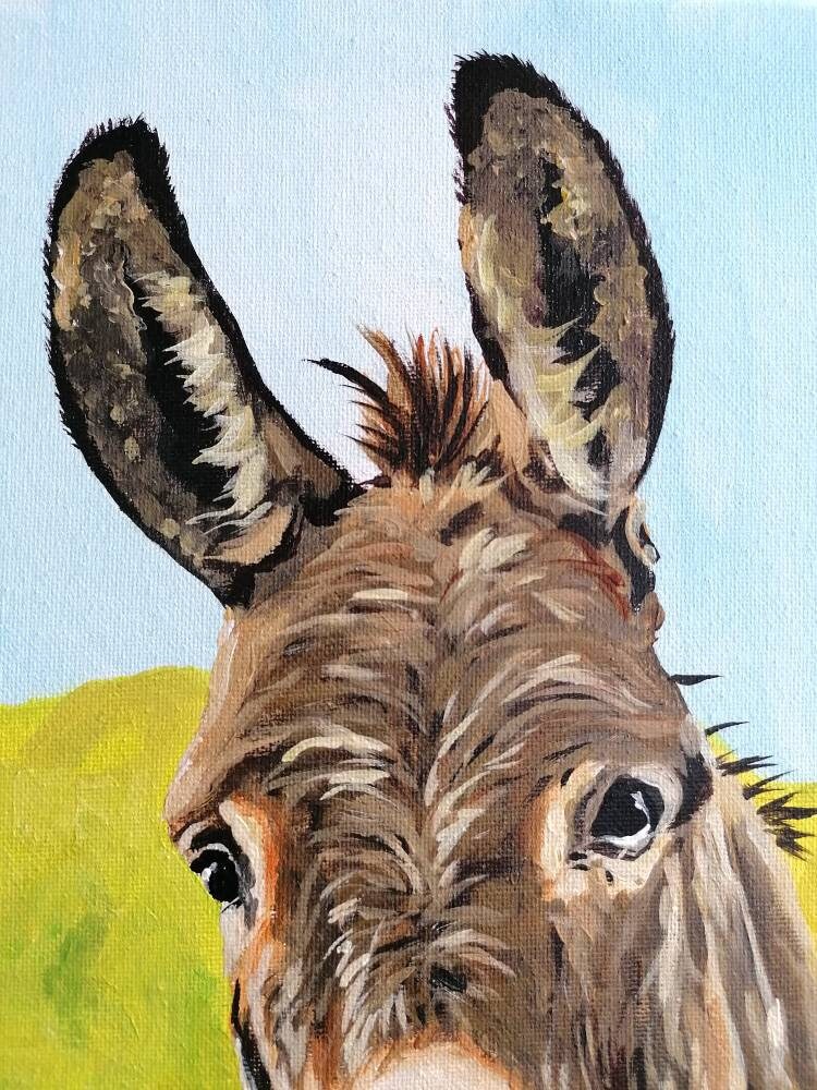 Acrylic Donkey Painting. Canvas Donkey. Donkey Art. Donkey Etsy UK