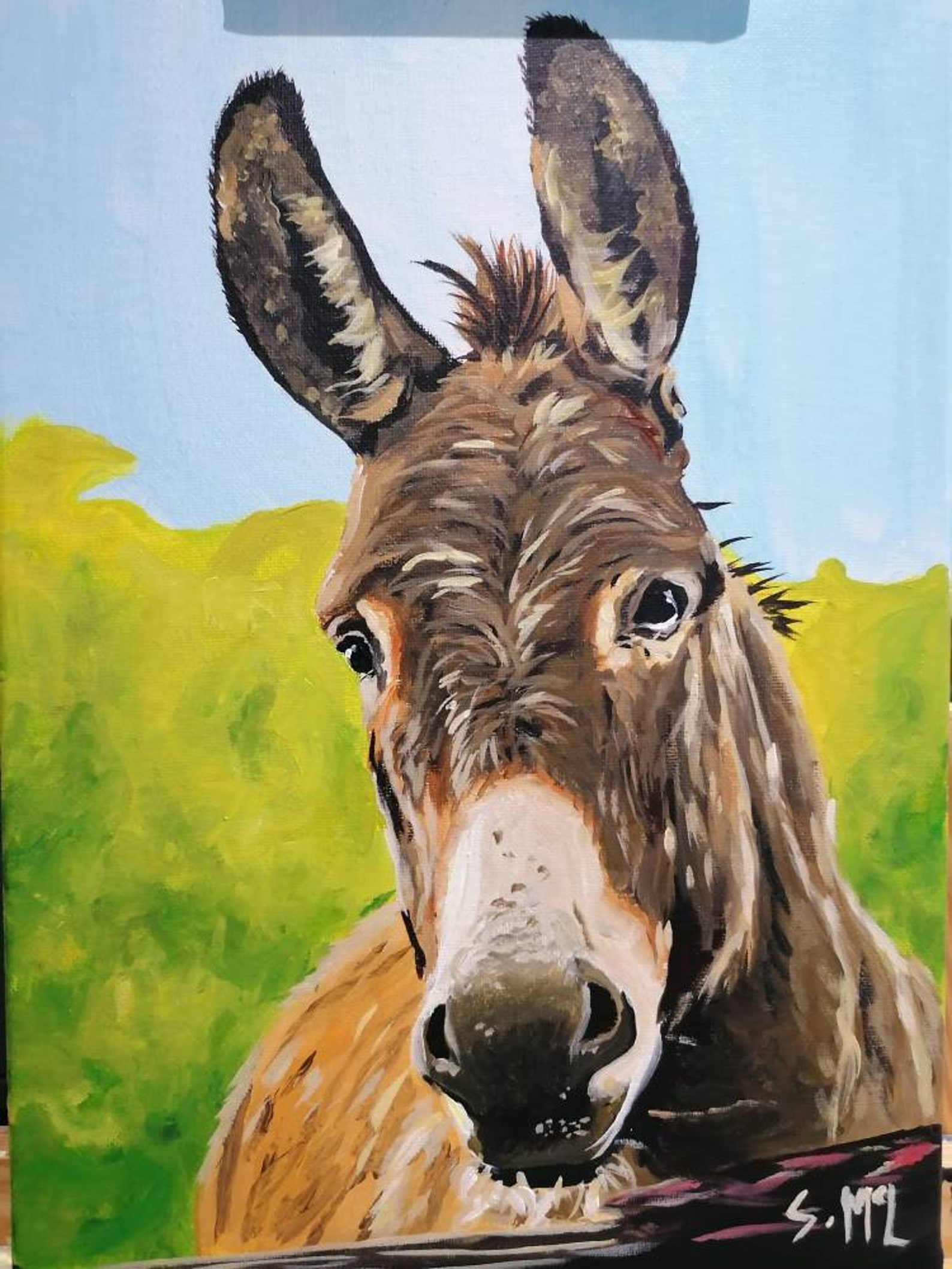 Acrylic Donkey Painting. Canvas Donkey. Donkey Art. Donkey Etsy UK