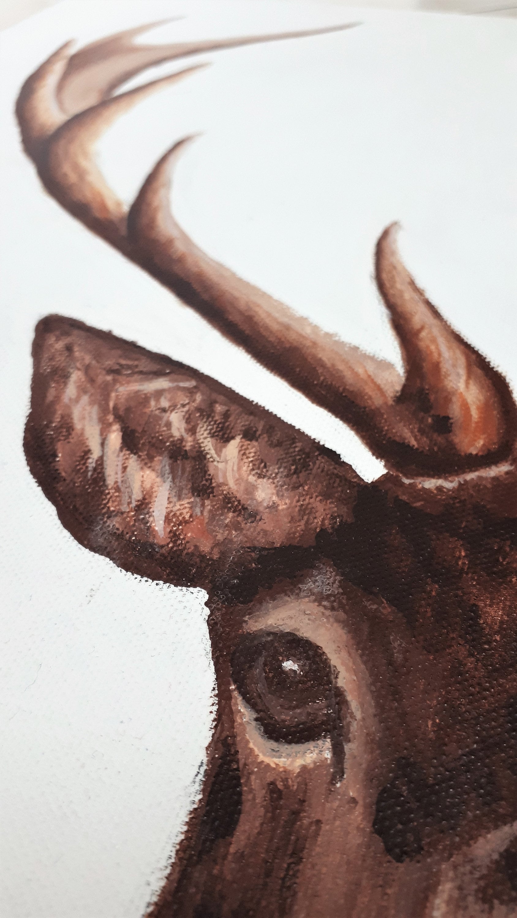 Buy Acrylic Stag Painting. Original. Country. Stag Art. Wild Stag