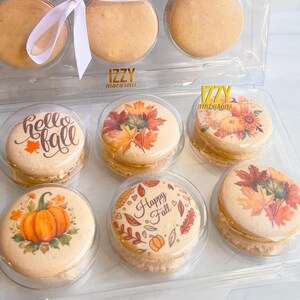 May include: A clear plastic box filled with fall-themed macarons. The macarons are decorated with images of pumpkins, leaves, and the words "hello fall" and "happy fall".