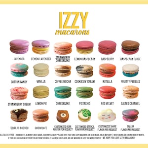 Izzy French Macarons Surprise me Flavors Assorted Standard Packaging Ice pack included Macaroons Spring/Easter Gifts Macarons image 2