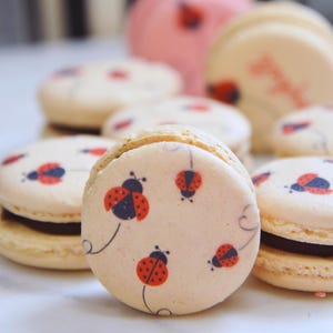 May include: Close-up of several macarons with a cream-colored exterior and a dark filling. Each macaron is decorated with a red and black ladybug design. Some macarons are in focus, while others are blurred in the background.