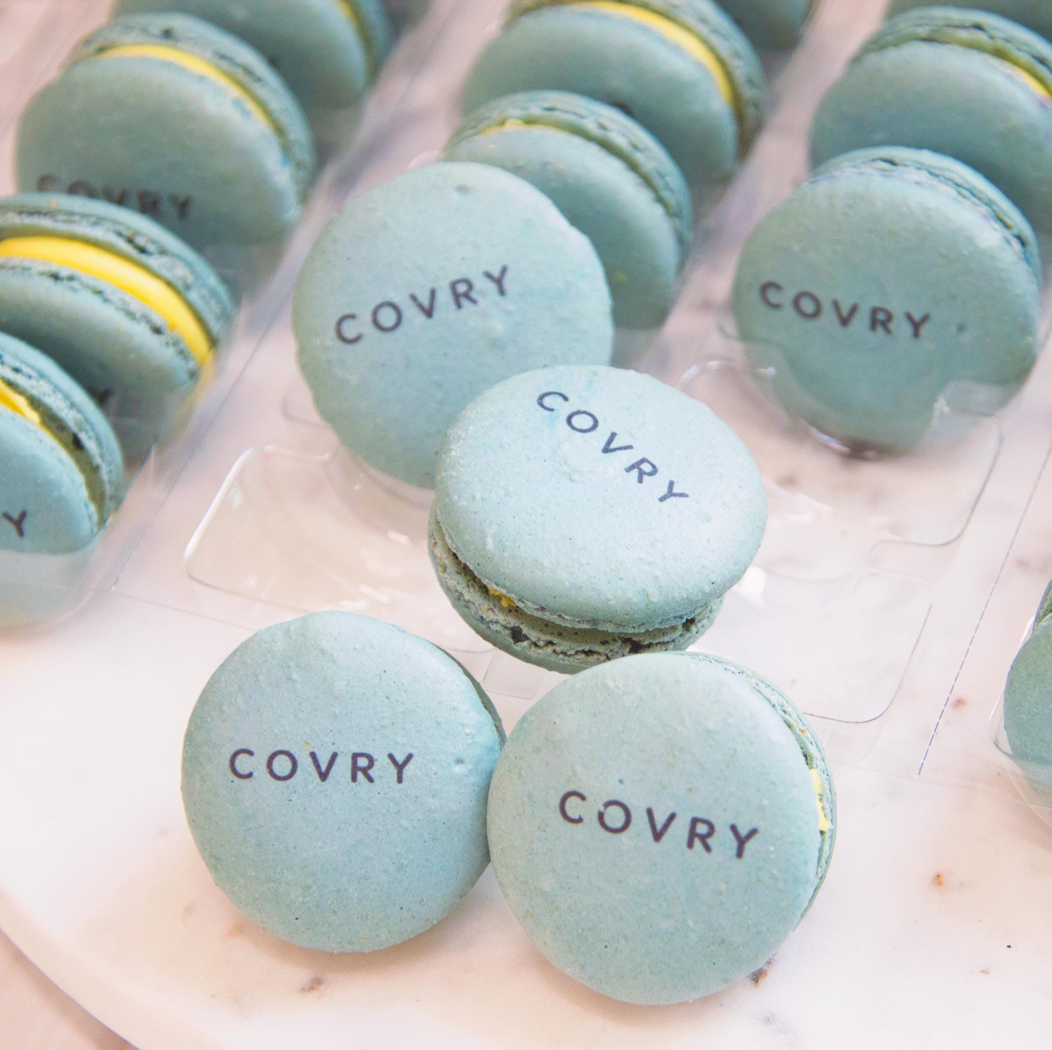 12 Pink or Blue French Macarons Ombre - White to Pink Fading