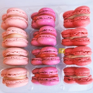 May include: A clear plastic container filled with pink and red macarons. The macarons are arranged in rows of two, with each macaron having a different filling.