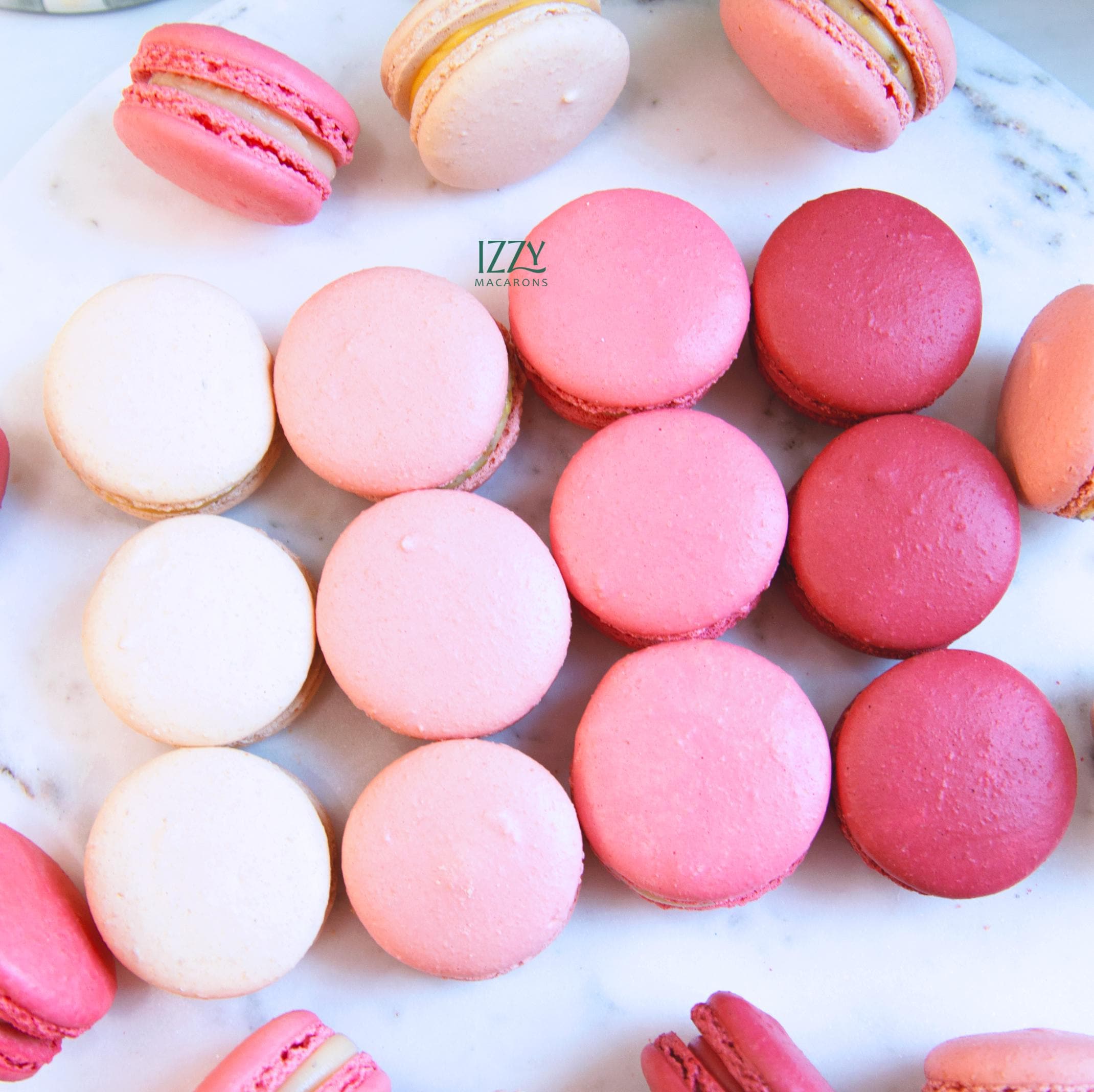 12 Pink or Blue French Macarons Ombre - White to Pink Fading