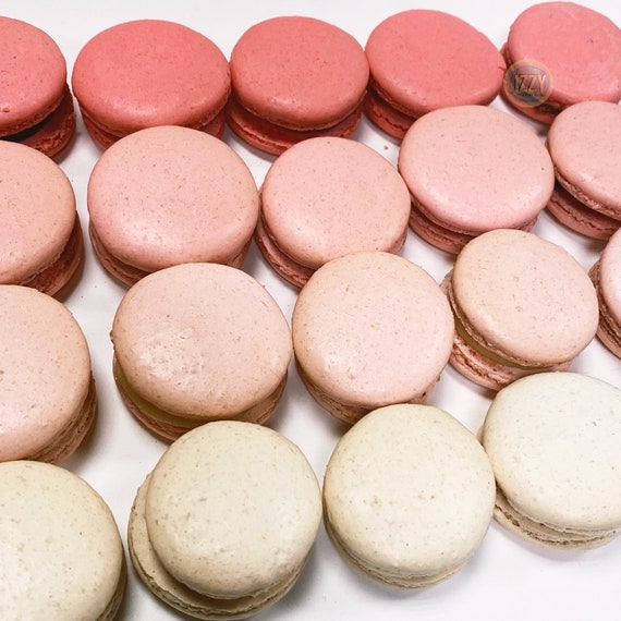 12 Macarons Francais Rose Ou Bleu Ombre Blanc A Rose Fading Etsy Canada