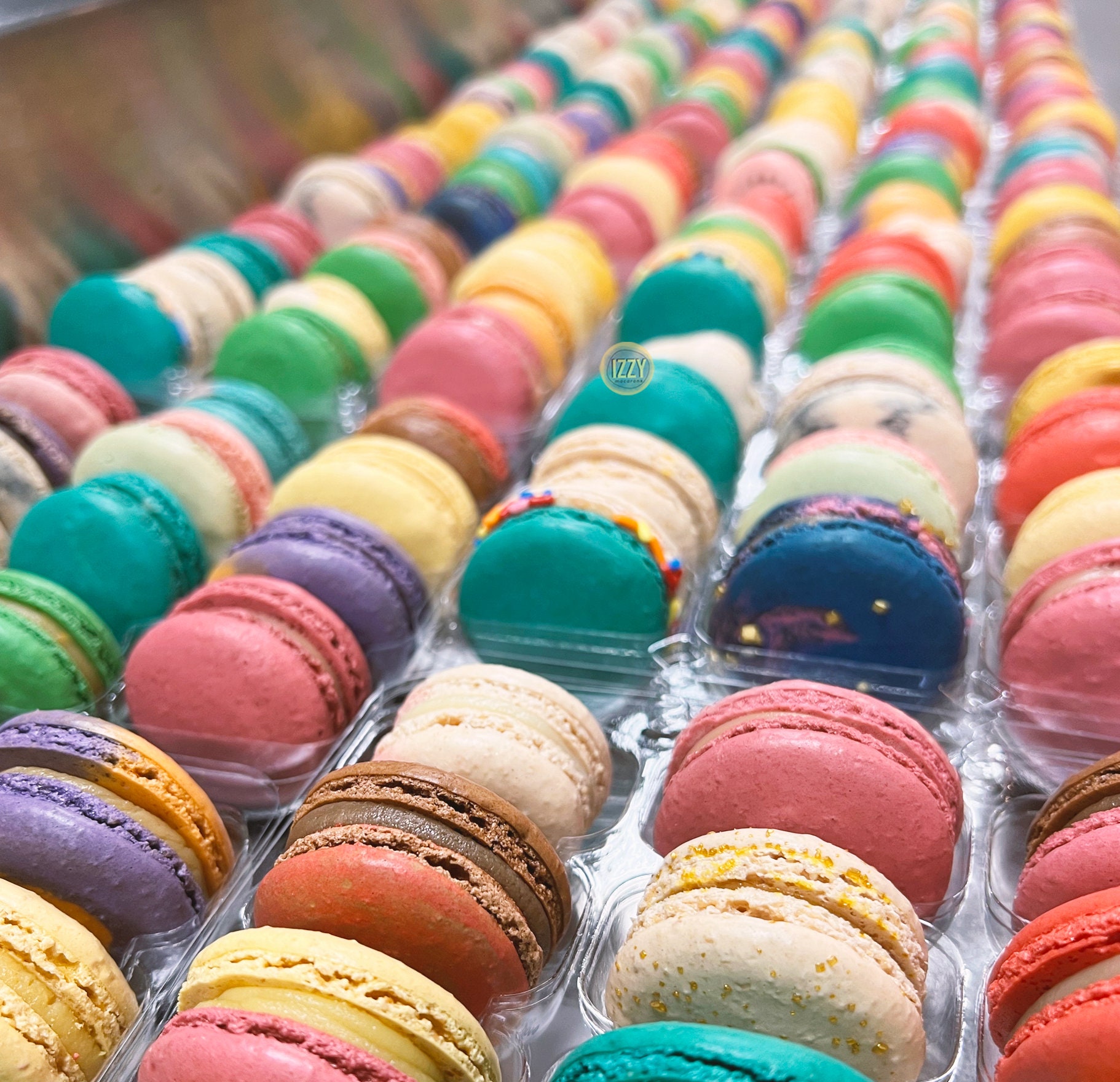 Izzy French Macarons - Surprise me Flavors- Assorted Standard Packaging - Ice pack included- Macaroons - Summer Gifts Macarons