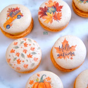 Pumpkin Spice Cheesecake - French Macarons Spice Cheesecake - 6.12 or 24 - French Fall Macarons Flavor - Autumn Thanksgiving Gluten Free