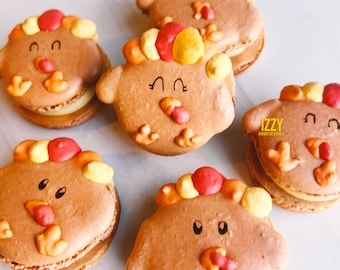12 Thanksgiving Turkey French Macarons - 12 - Friendsgiving Cookies Pumpkin Spice/ Thanksgiving Macaroons - Pumpkin Spice Macarons
