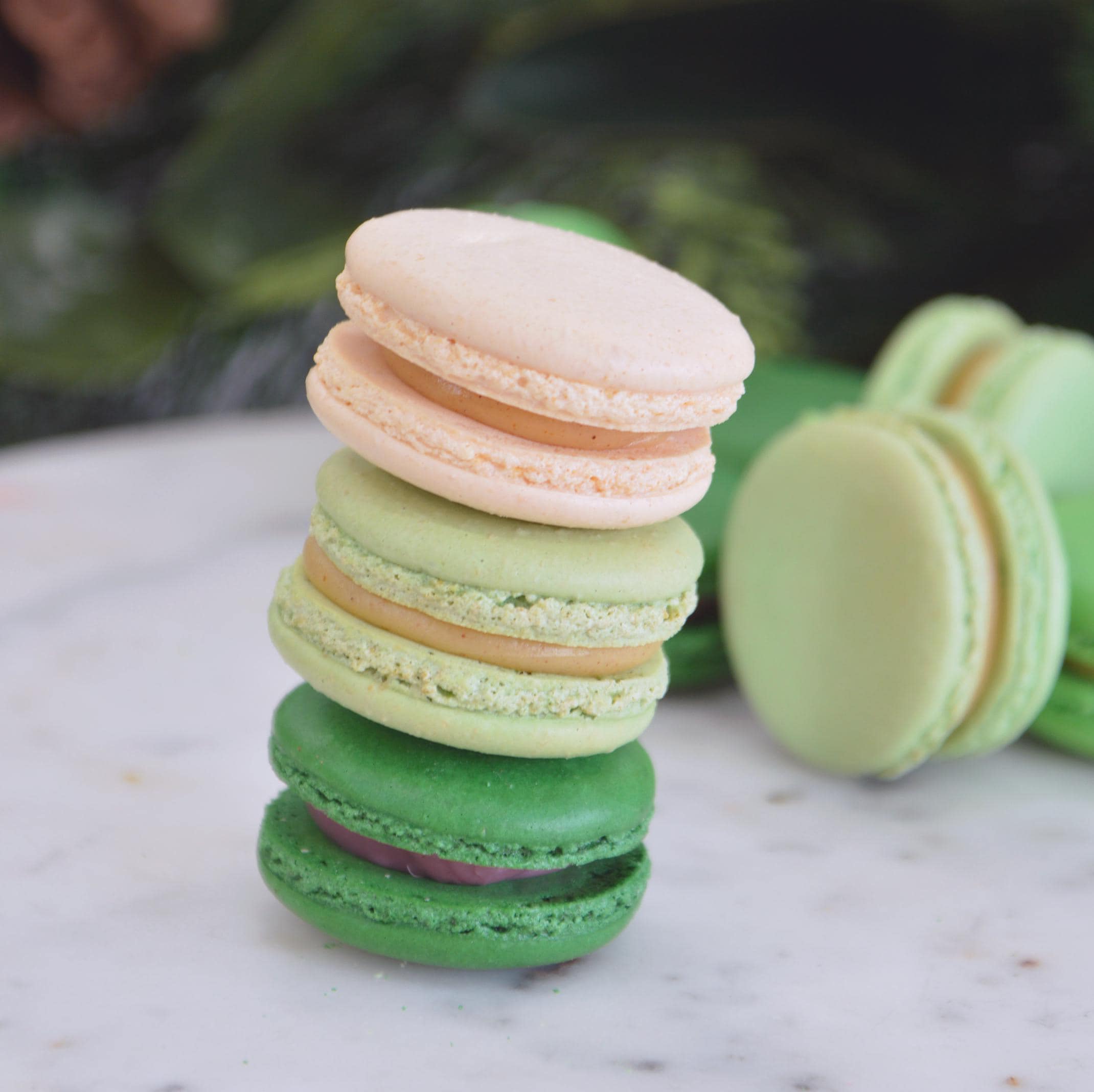 Sage Green French Macarons Ombre - White to Sage Green Fading