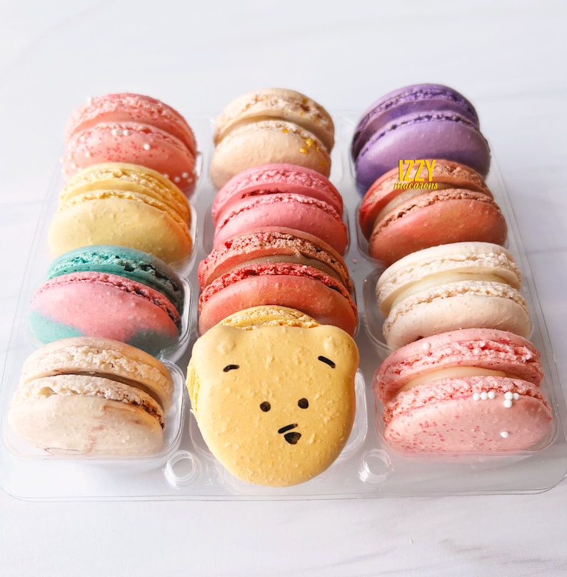 Izzy French Macarons Surprise me Flavors Assorted Standard Packaging Ice pack included Macaroons Spring/Easter Gifts Macarons image 4