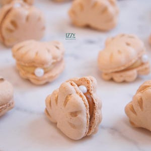 White/ Cream Seashell Macarons 15 or 30 - Choose your flavors - Edible Macaroons - French Cookies - Seashell cookies Macarons