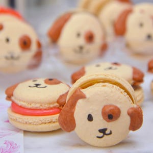 Dog French Macarons 12 or 24 - Choose your flavors - Edible Macaroons - French Cookies - Puppy Emoji