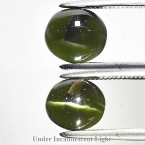 May include: Two round, dark olive green cabochon gemstones held by silver-toned metal tweezers. Each stone displays a distinct chatoyant band of light across its surface, characteristic of a cat's eye effect. The text Under Incandescent Light is visible.