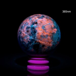 Puede incluir: Una esfera mineral que muestra parches fluorescentes de color naranja vibrante y azul profundo bajo luz ultravioleta de 365nm. La piedra descansa sobre un pequeño soporte circular de color morado brillante sobre un fondo negro sólido, resaltando su superficie brillante.