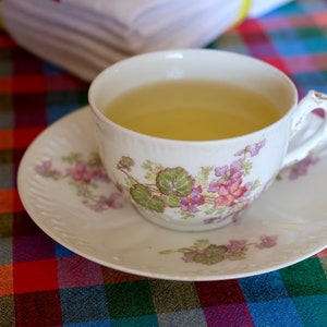 Tea cup Emile Bourgeois (1832-1926) Limoges porcelain antique French tableware France