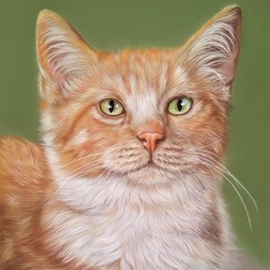 May include: A detailed portrait of a ginger cat with white markings. The cat has green eyes, a pink nose, and long white whiskers. The background is a solid green color, creating a contrast with the cat's fur.
