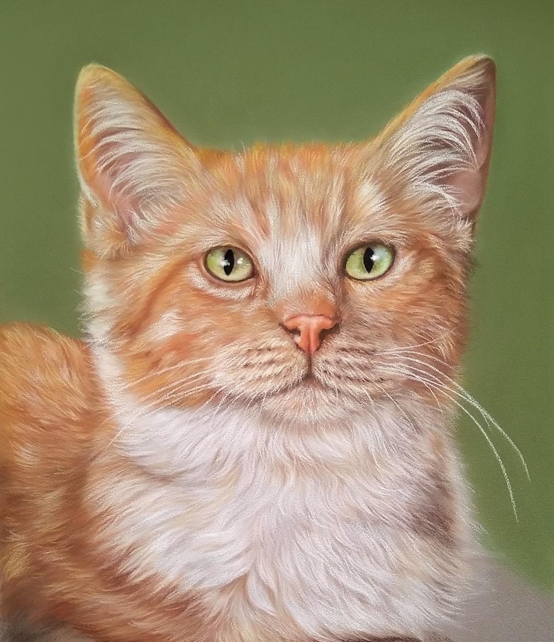 May include: A detailed portrait of a ginger cat with white markings. The cat has green eyes, a pink nose, and long white whiskers. The background is a solid green color, creating a contrast with the cat's fur.