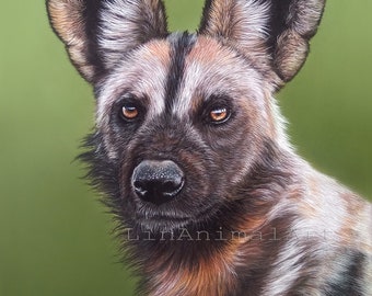 African Wild dog, El Perro Salvaje, Original Pastel Paintings, Art, Artwork, Wildlife art, Gift
