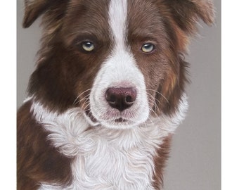 Ritratto personalizzato di un animale domestico a pastello: arte di un cane disegnata a mano da una foto