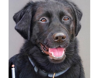 Ritratto personalizzato di un animale domestico: disegno a mano di un cane con colori pastello