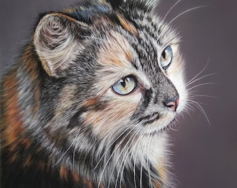 Retrato de mascota personalizado: Retrato de gato al pastel dibujado a mano, arte mural personalizado