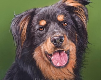 Ritratto di animali domestici disegnato a mano personalizzato: arte murale personalizzata, disegno a pastello, arte a matita