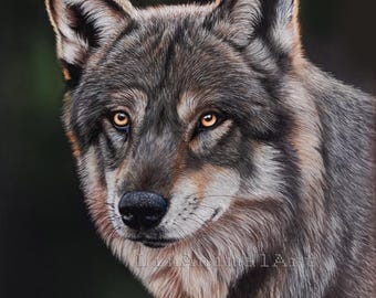 El Lobo, Dipinti a pastello originali, Il lupo, Arte, Opera d'arte, Arte della fauna selvatica, Regalo