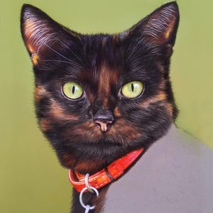 Pu&ograve; includere: Un ritratto ravvicinato di un gatto nero e marrone con occhi verdi che indossa un collare rosso con un'etichetta argentata. Il gatto sta guardando direttamente lo spettatore.