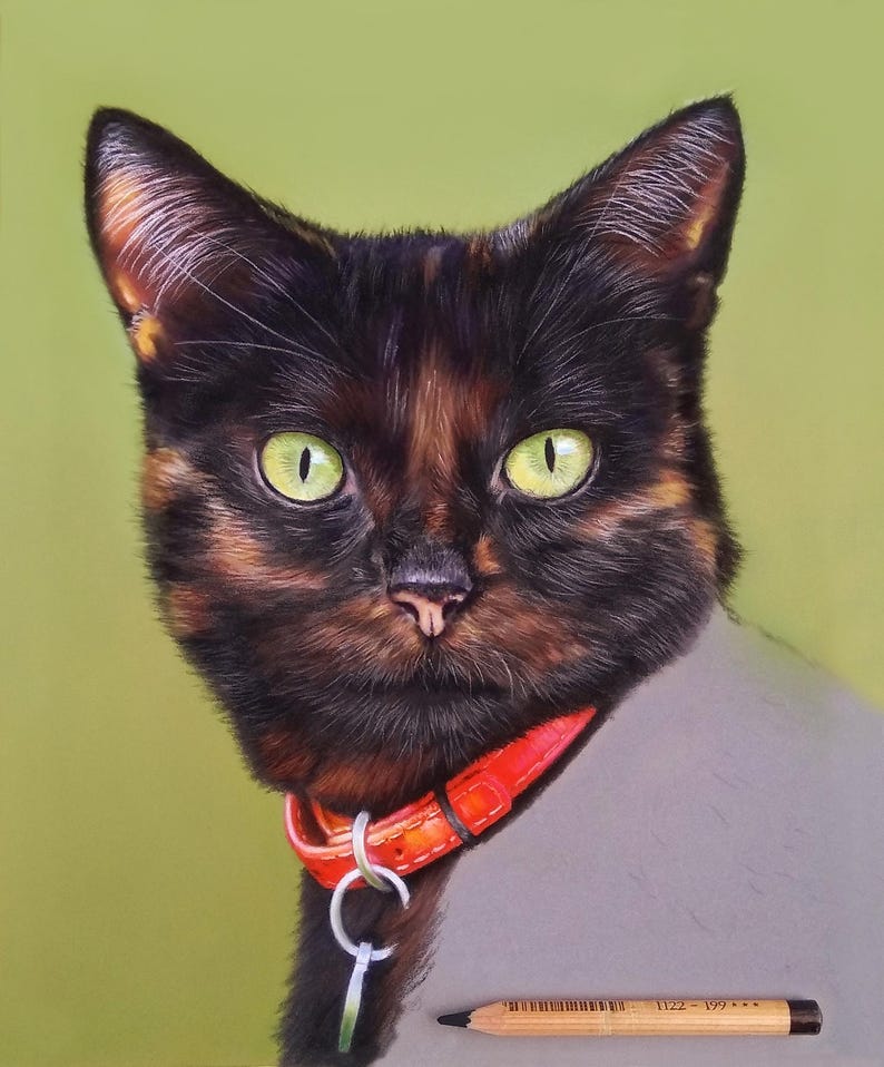 Pu&ograve; includere: Un ritratto ravvicinato di un gatto nero e marrone con occhi verdi che indossa un collare rosso con un'etichetta argentata. Il gatto sta guardando direttamente lo spettatore.