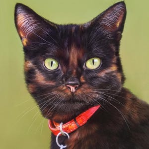 Pu&ograve; includere: Un ritratto ravvicinato di un gatto nero e marrone con occhi verdi che indossa un collare rosso con un'etichetta argentata. Il gatto guarda direttamente la fotocamera.