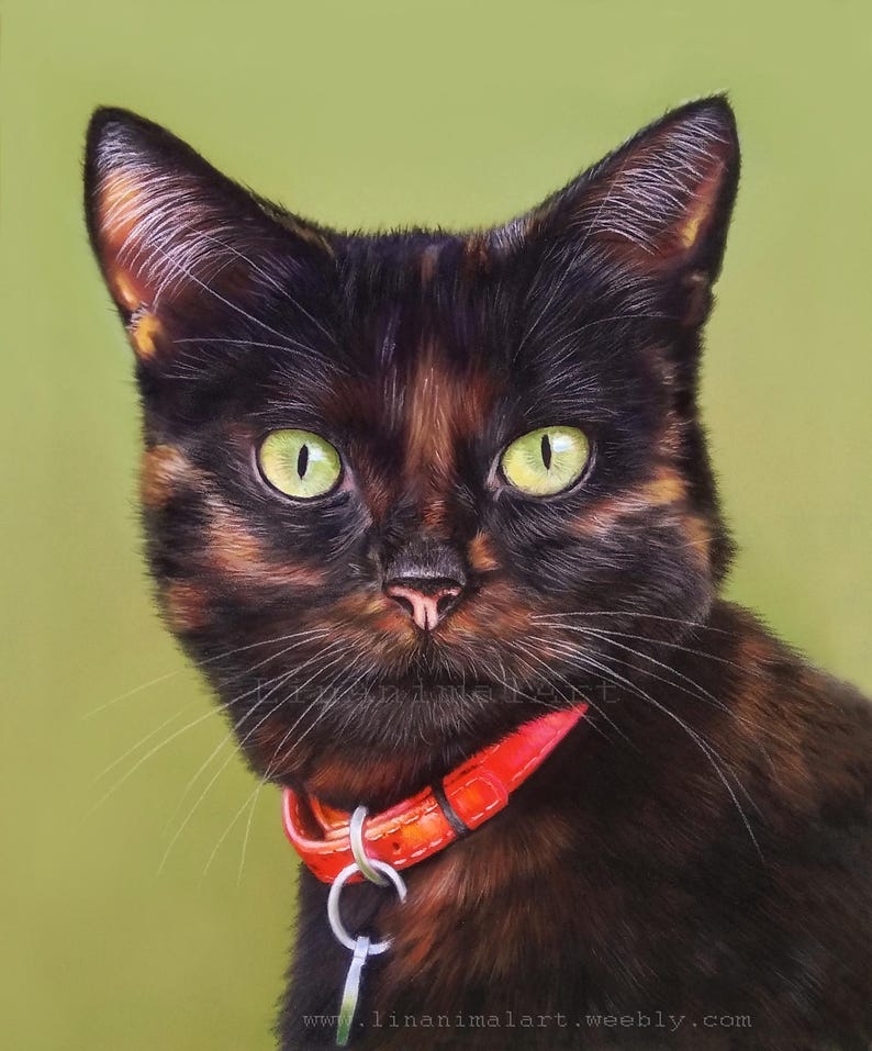 Pu&ograve; includere: Un ritratto ravvicinato di un gatto nero e marrone con occhi verdi che indossa un collare rosso con un'etichetta argentata. Il gatto guarda direttamente la fotocamera.