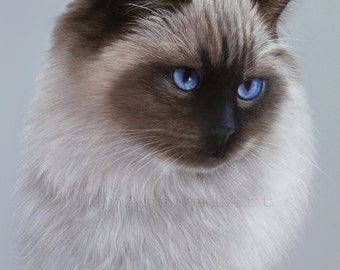 Ritratto personalizzato di un animale domestico: ritratto di gatto pastello disegnato a mano, arte murale personalizzata